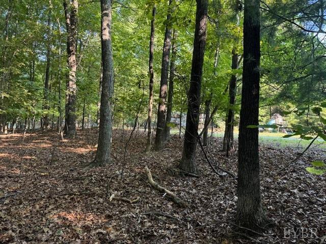 22 Woodshire Dr, Blue Ridge, VA 24064 - photo 6