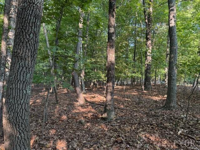 22 Woodshire Dr, Blue Ridge, VA 24064 - photo 5