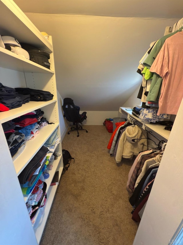318 Westover Blvd, Lynchburg, VA 24501 - walk in closet featuring carpet flooring