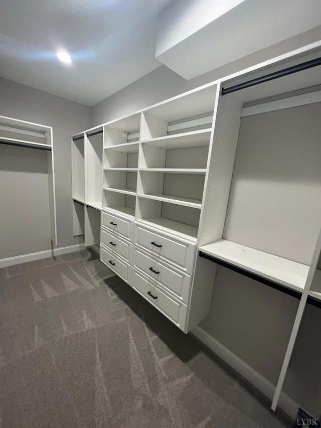 43 Grandset Dr, Forest, VA 24551 - spacious closet featuring dark carpet