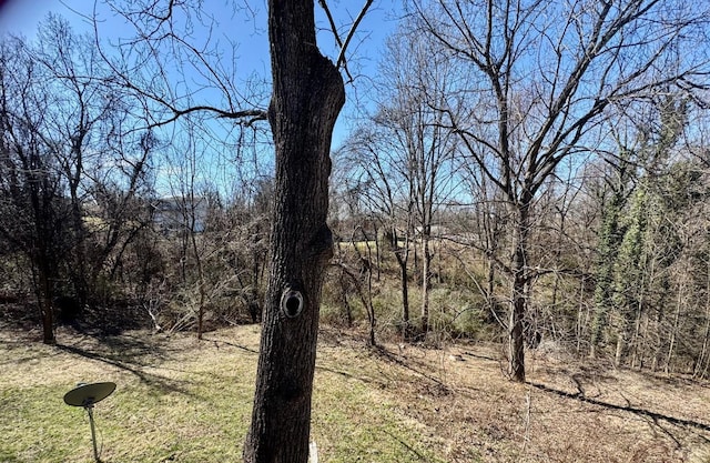 2809 Herbert St, Lynchburg, VA 24501 - view of woods