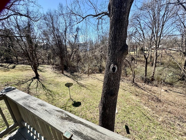 2809 Herbert St, Lynchburg, VA 24501 - view of green lawn
