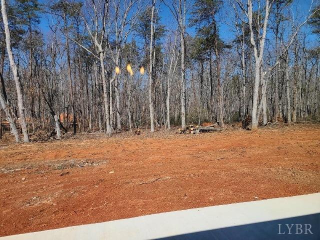2329 Stonewall Rd, Concord, VA 24538 - photo 15