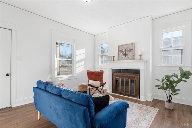 319 Kemper Rd, Danville, VA 24541 - living room with wood finished floors, a glass covered fireplace, and baseboards