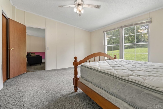 550 Mitchell Rd, Axton, VA 24054 - bedroom with carpet floors, crown molding, a textured ceiling, and a ceiling fan