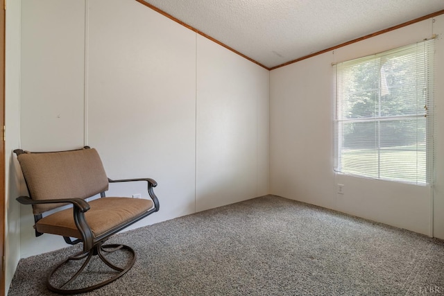 550 Mitchell Rd, Axton, VA 24054 - unfurnished room featuring lofted ceiling, crown molding, carpet, and a textured ceiling