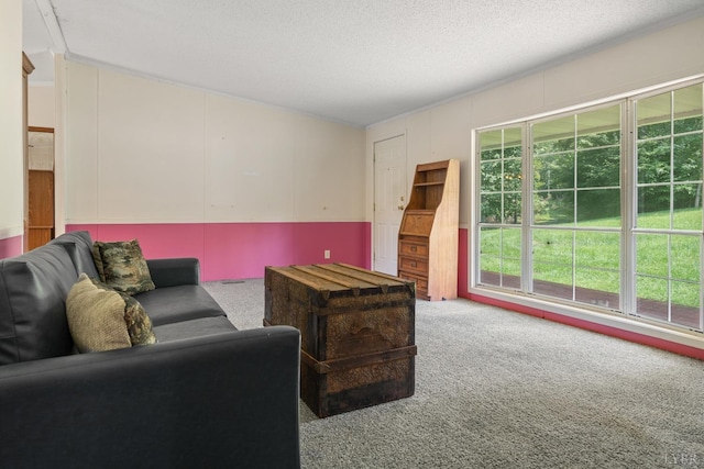 550 Mitchell Rd, Axton, VA 24054 - carpeted living area with a textured ceiling
