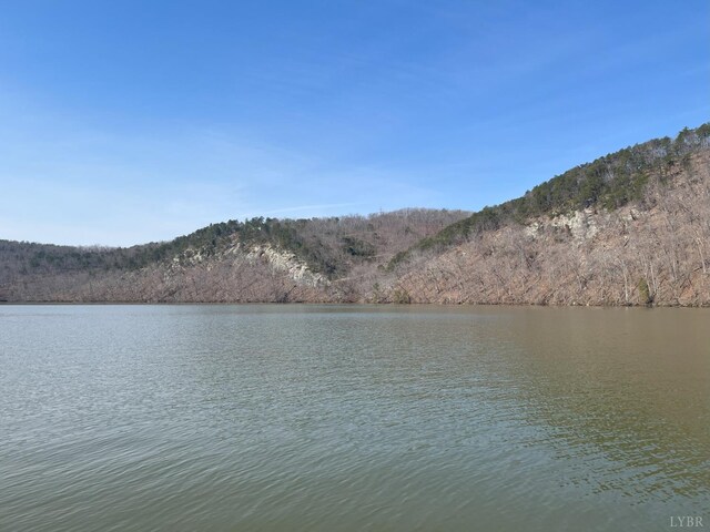207 Siahs Glenn, Pittsville, VA 24139 - photo 10