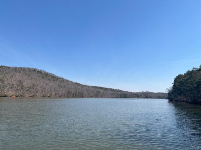 207 Siahs Glenn, Pittsville, VA 24139 - photo 7