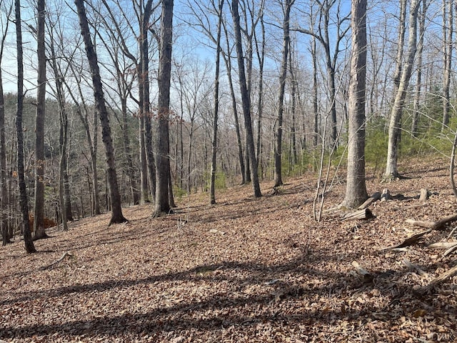 207 Siahs Glenn, Pittsville, VA 24139 - photo 2