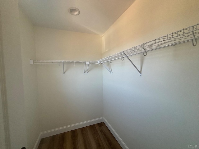 1018 Misty Mountain Rd, Lynchburg, VA 24502 - walk in closet with dark wood-style floors