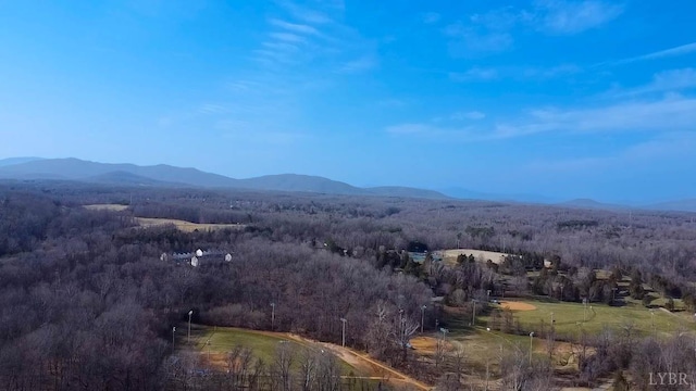 1417 Tunbridge Rd, Lynchburg, VA 24501 - mountain view with a forest