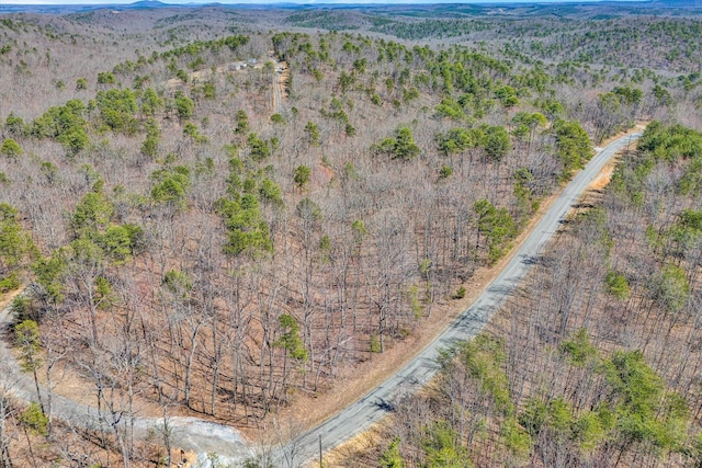 6892 Tolers Ferry Rd, Huddleston, VA 24104 - birds eye view of property featuring a mountain view