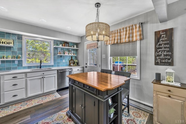 6892 Tolers Ferry Rd, Huddleston, VA 24104 - kitchen featuring a wealth of natural light, a sink, open shelves, and dishwasher