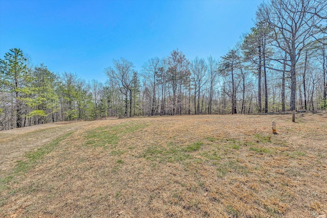 6892 Tolers Ferry Rd, Huddleston, VA 24104 - view of yard featuring a wooded view