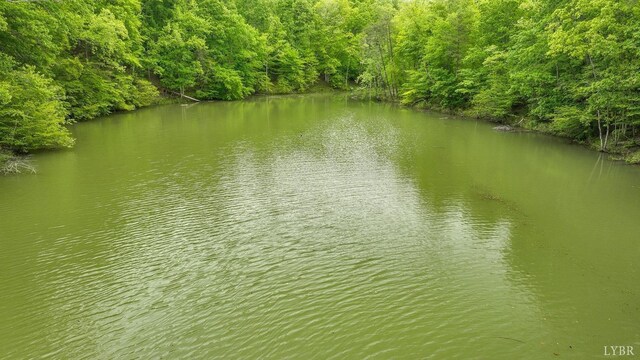 0 B Reservoir View Ct, Pittsville, VA 24139