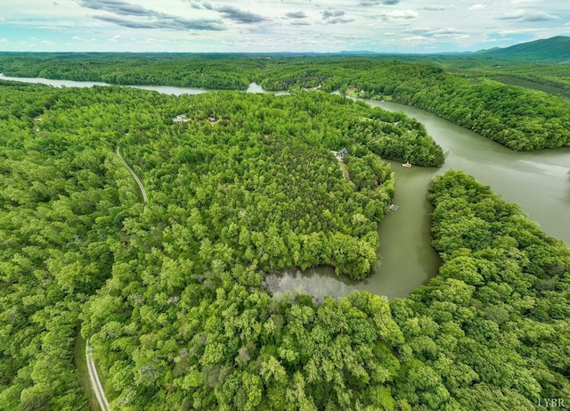 0 B Reservoir View Ct, Pittsville, VA 24139