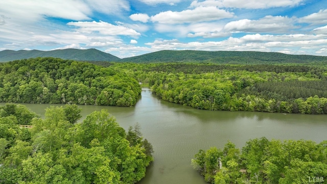 0 B Reservoir View Ct, Pittsville, VA 24139