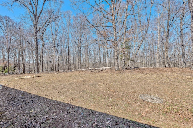 504 Spinnaker Way, Moneta, VA 24121 - view of yard with a view of trees