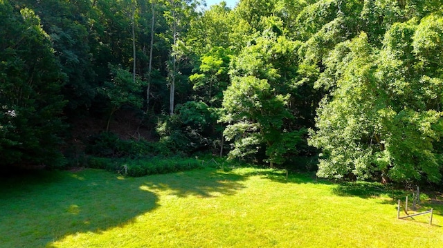 506 Peters Hollow Rd, Monroe, VA 24574 - view of yard with a wooded view