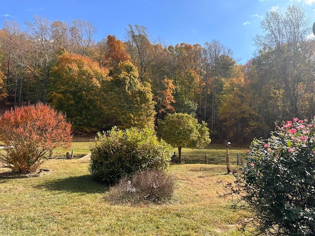 506 Peters Hollow Rd, Monroe, VA 24574 - view of yard with a rural view and fence