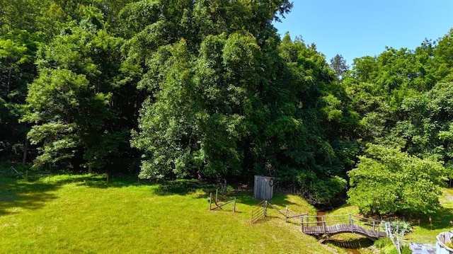 506 Peters Hollow Rd, Monroe, VA 24574 - view of yard