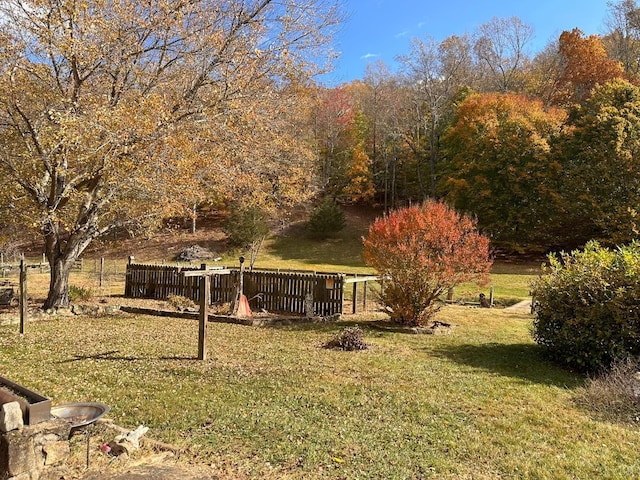 506 Peters Hollow Rd, Monroe, VA 24574 - view of yard featuring fence