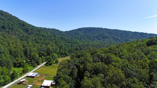 506 Peters Hollow Rd, Monroe, VA 24574 - mountain view with a wooded view