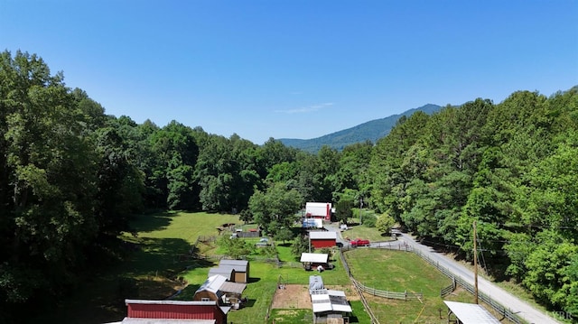 506 Peters Hollow Rd, Monroe, VA 24574 - drone / aerial view with a forest view and a mountain view