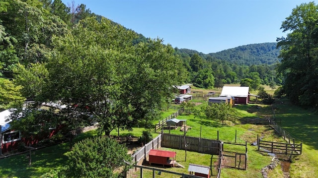 506 Peters Hollow Rd, Monroe, VA 24574 - exterior space with a rural view and a forest view