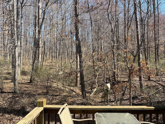 2009 Lakeside Dr Unit 302, Lynchburg, VA 24502 - view of yard