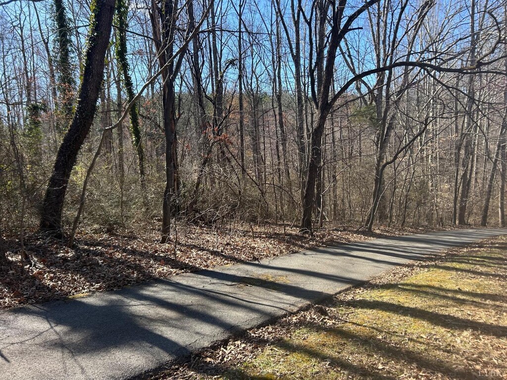 0 Mcivor Ln, Monroe, VA 24574