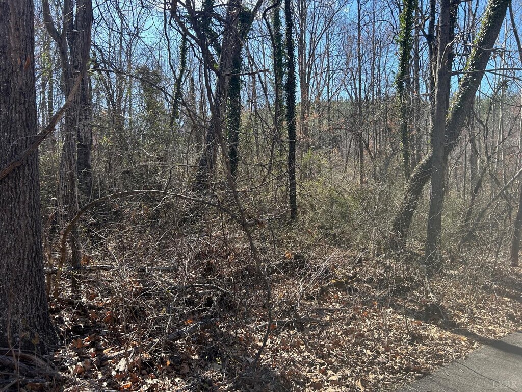 0 Mcivor Ln, Monroe, VA 24574