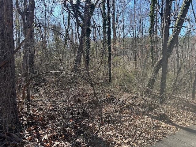 0 Mcivor Ln, Monroe, VA 24574