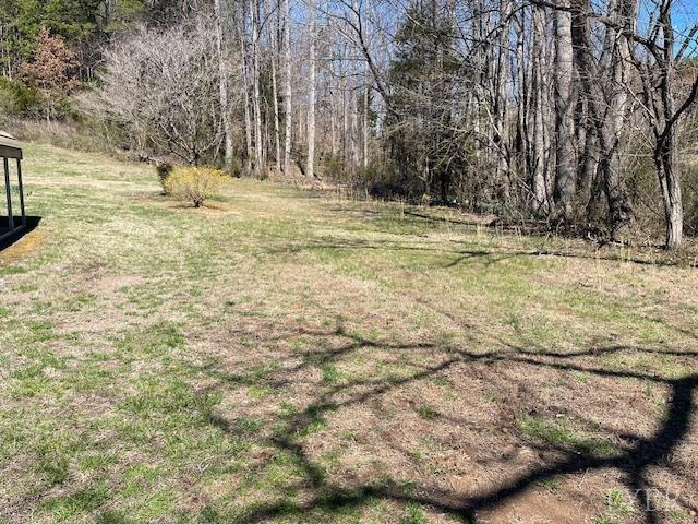 1534 Main St, Altavista, VA 24517 - view of yard