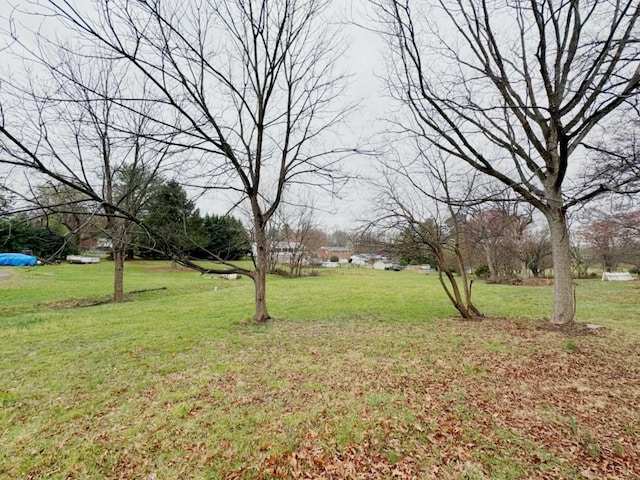 1119 Peaks St, Bedford, VA 24523 - view of yard