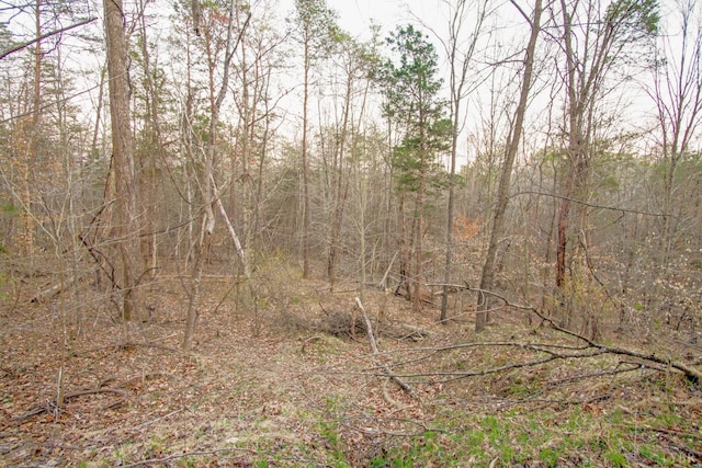 3510 Bear Creek Rd, Rustburg, VA 24588 - view of nature