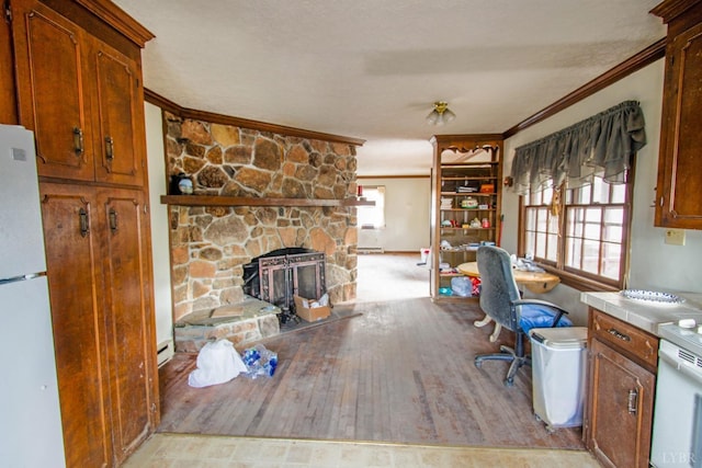 3510 Bear Creek Rd, Rustburg, VA 24588 - office with a stone fireplace, light wood-style flooring, and crown molding