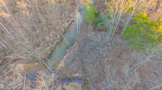 3510 Bear Creek Rd, Rustburg, VA 24588 - drone / aerial view