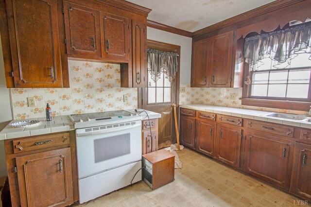 3510 Bear Creek Rd, Rustburg, VA 24588 - kitchen featuring white electric range, a healthy amount of sunlight, ornamental molding, and a sink