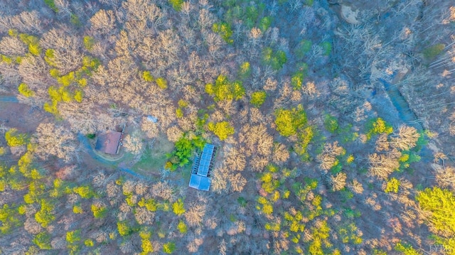 3510 Bear Creek Rd, Rustburg, VA 24588 - bird's eye view