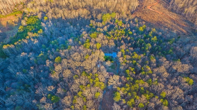 3510 Bear Creek Rd, Rustburg, VA 24588 - aerial view