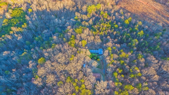 3510 Bear Creek Rd, Rustburg, VA 24588 - aerial view