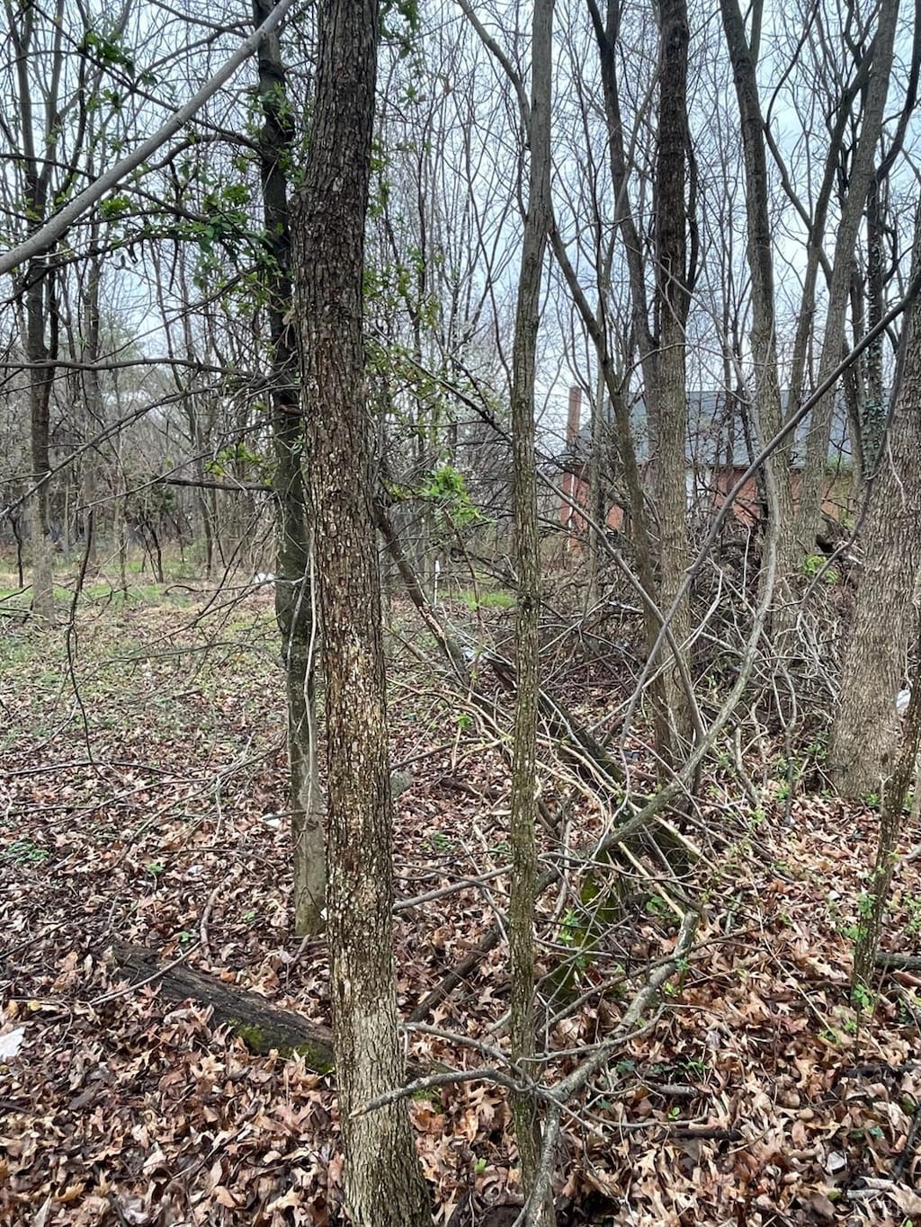 0 N Otey St, Bedford, VA 24523