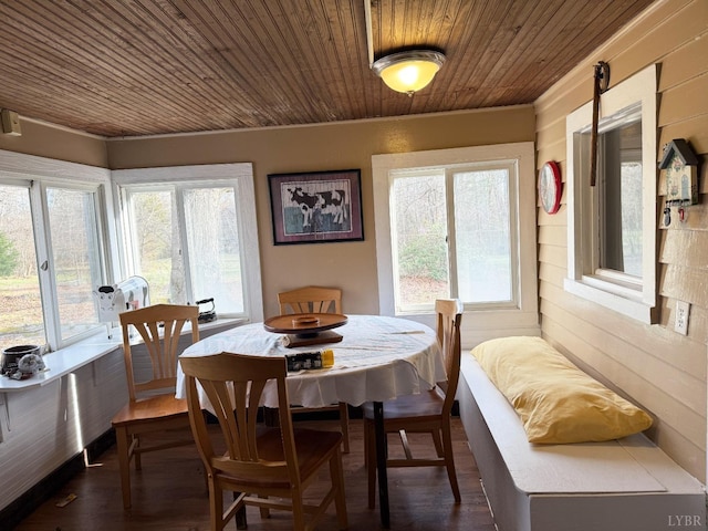 1228 Rosser Mill Rd, Pamplin, VA 23958 - dining area featuring healthy amount of natural light, wood ceiling, and dark wood finished floors