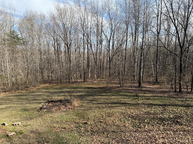 1228 Rosser Mill Rd, Pamplin, VA 23958 - view of yard