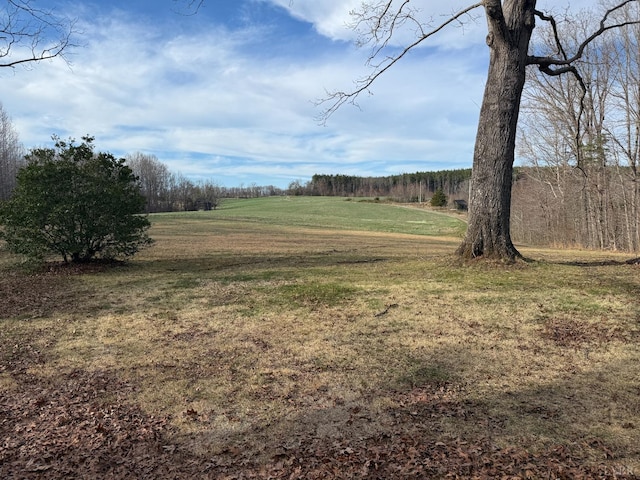1228 Rosser Mill Rd, Pamplin, VA 23958 - view of green lawn
