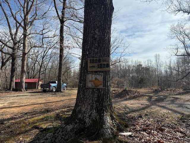 1228 Rosser Mill Rd, Pamplin, VA 23958 - view of yard