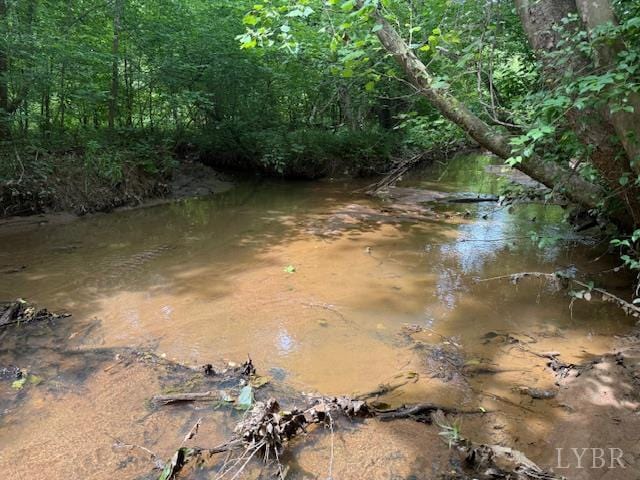 1228 Rosser Mill Rd, Pamplin, VA 23958 - water view with a forest