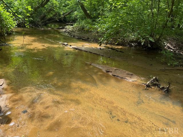 1228 Rosser Mill Rd, Pamplin, VA 23958 - view of yard